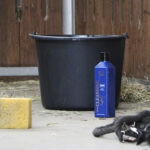 NATHALIE HORSE CARE Deep cleansing - Image 3