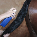 NATHALIE HORSE CARE Digby Conditioner - Image 3