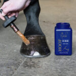 NATHALIE HORSE CARE Hoof Gel DELUXE 450 ml - Image 2