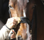 NATHALIE HORSE CARE Leather conditioner 250 ml. - Image 2