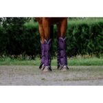EQUITHÈME - TYREX 600D - Travel Boots - Image 7