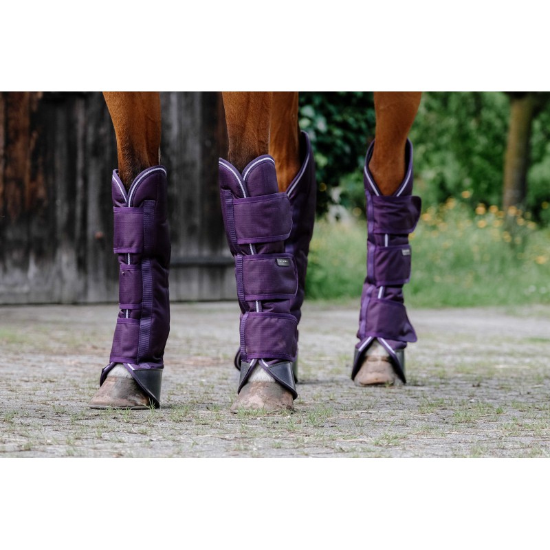 EQUITHÈME - TYREX 600D - Travel Boots