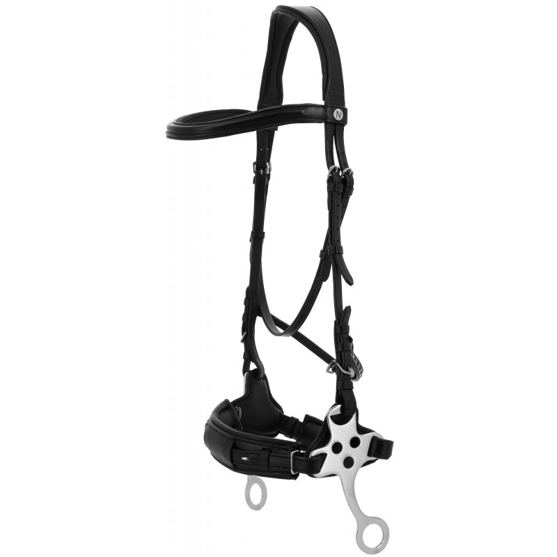 NORTON Compet Hackamore bridle