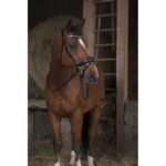 NORTON PRO Web reins 16mm - Image 2