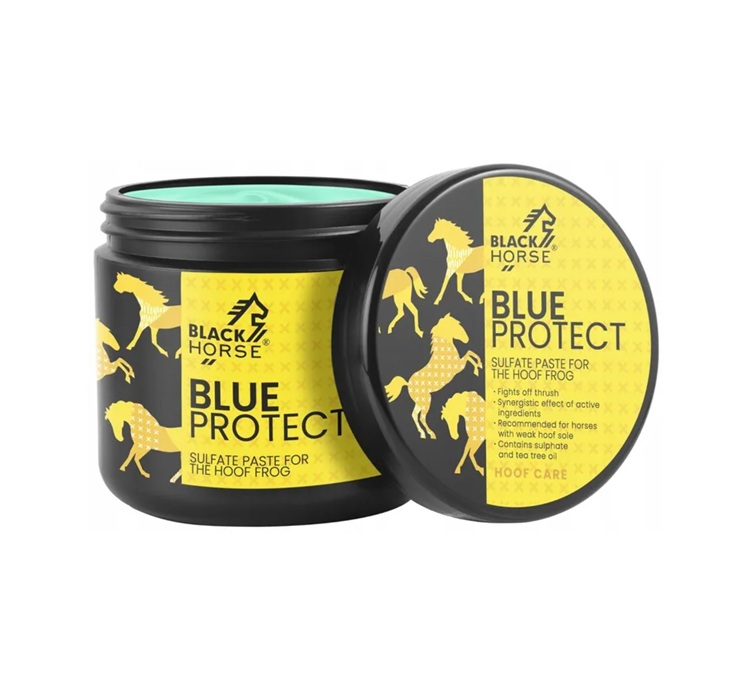 BLACK HORSE Sulfate paste BLUE PROTECT - 500 ml